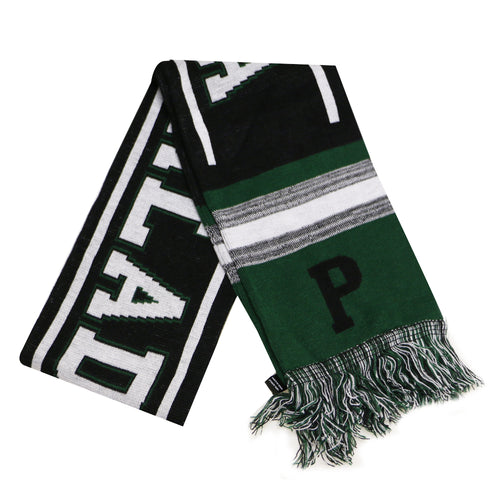 City Hunter USA Adult Size Blending Colors Knit Winter Scarves (Philadelphia Black/Green)