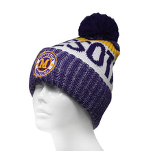 Minnesota Men's Winter Knit Landmark Patch Pom Beanie