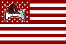 NCAA Stars and Stripes 3'x5' Indoor/Outdoor Team Nation Flags